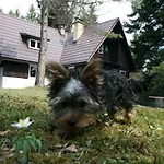 Nyaraló Rusalka Garamnémetfalva