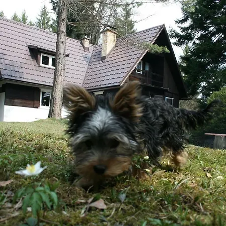 Prázdninový dům Rusalka Nemecká